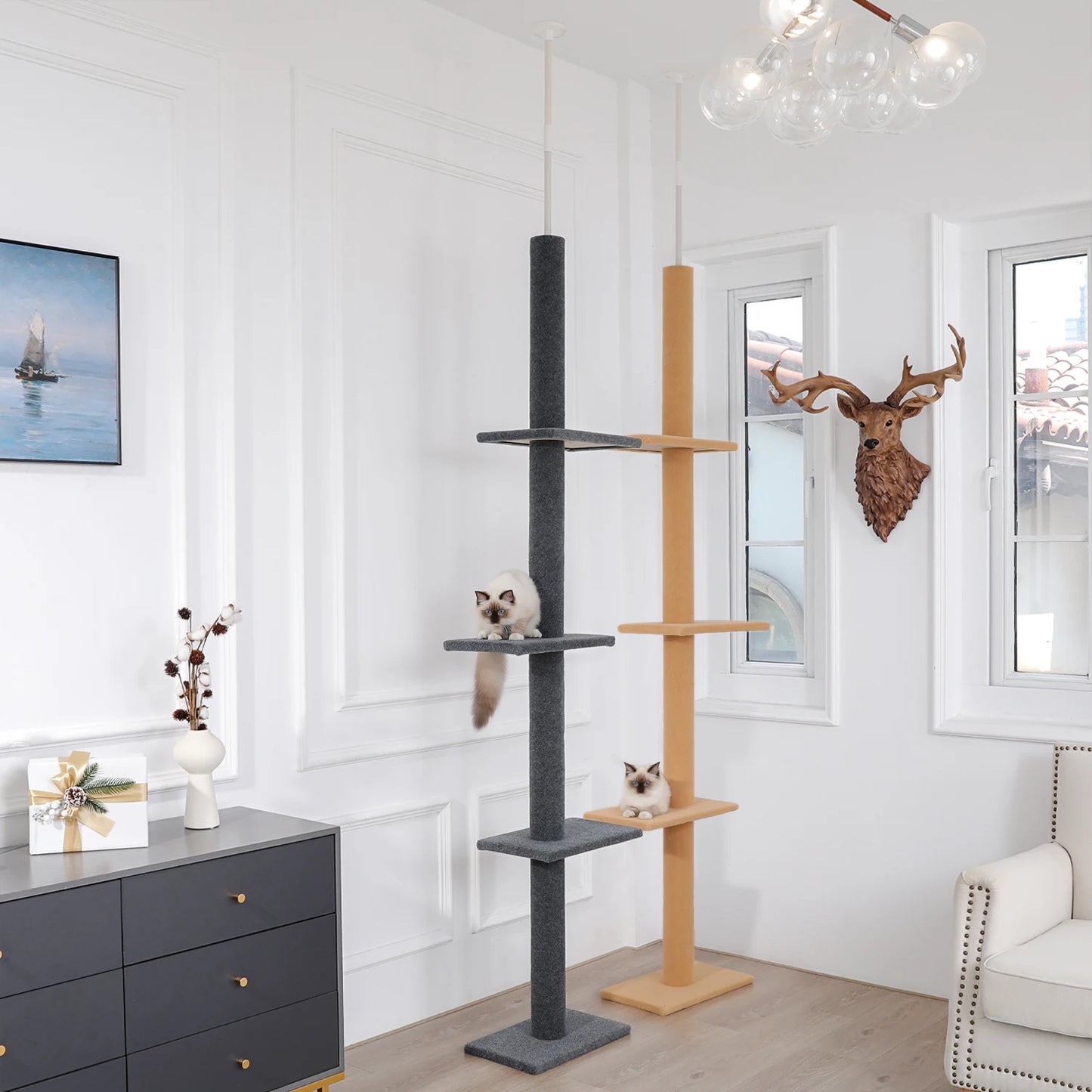 Höhenverstellbarer Kratzbaum Boden bis zur Decke
