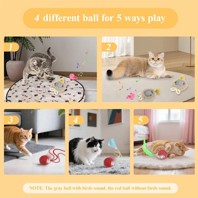 Interaktiver Katzenspielzeugball mit Versteckfunktion