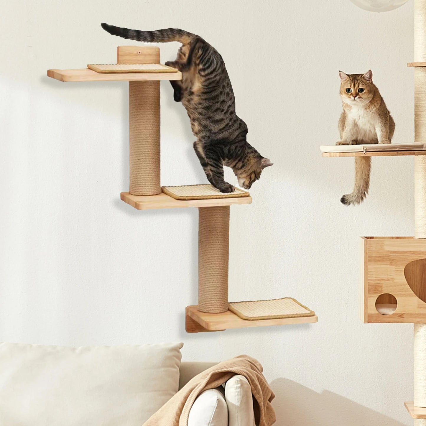 Wandmontierte Katzenmöbel aus Gummiholz