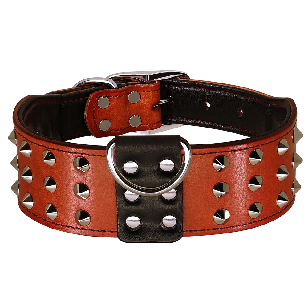 Echtes Leder Hundehalsband (Verstellbar) – Langlebig, für Mittelgroße & Große Hunde - Animalivo