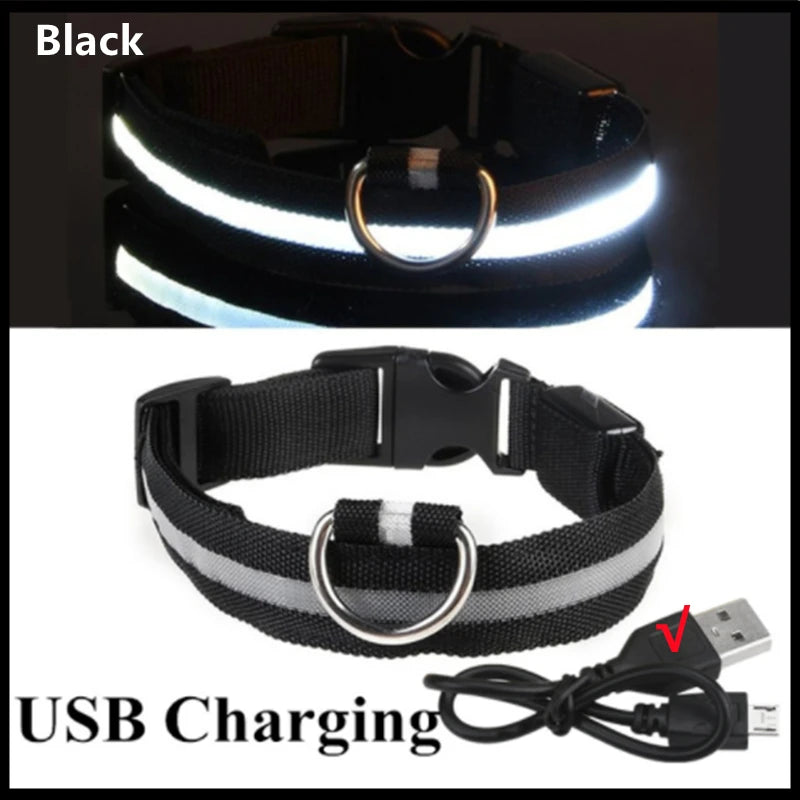 LED Hunde-Halsband: USB-aufladbar, 3 Modi & Abnehmbar zur Verlustprävention - Animalivo