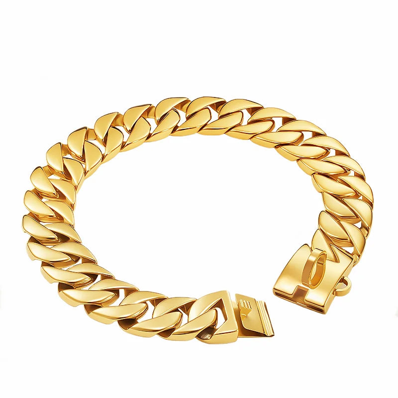 Goldfarbenes Edelstahl-Hundehalsband (32mm) – Für Labrador, Rottweiler & American Bully - Animalivo