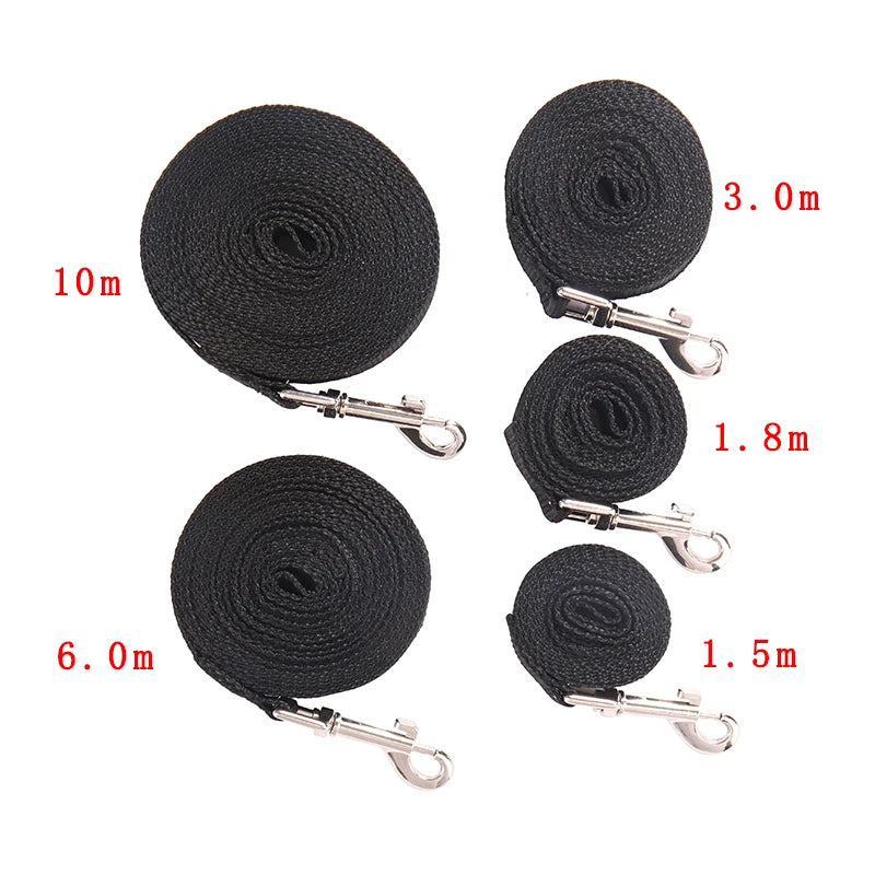 Lange Nylon Trainingsleine (10-20m) für Hunde - Animalivo