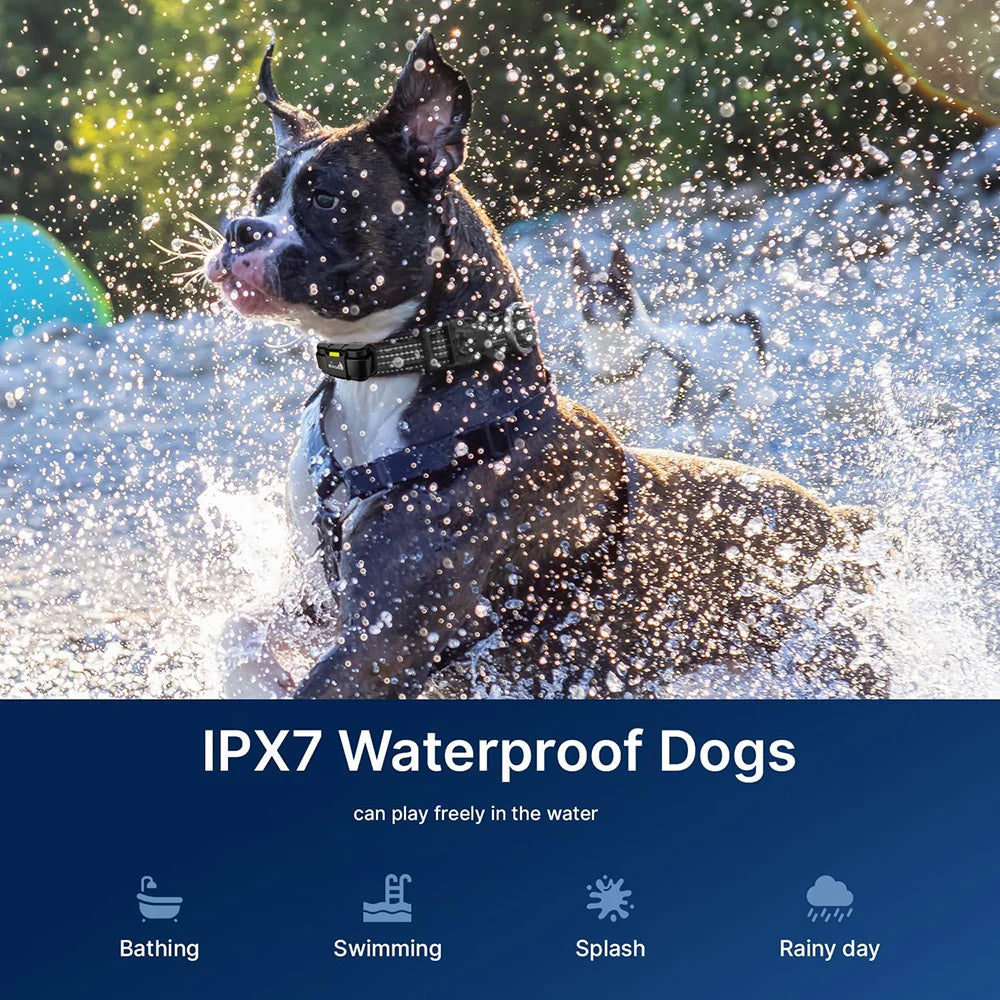 JANPET Hundetrainingshalsband mit Fernbedienung, 1600 Meter, blinkende Leuchtfeuerlichter, wiederaufladbares, wasserdichtes Hundehalsband - Animalivo