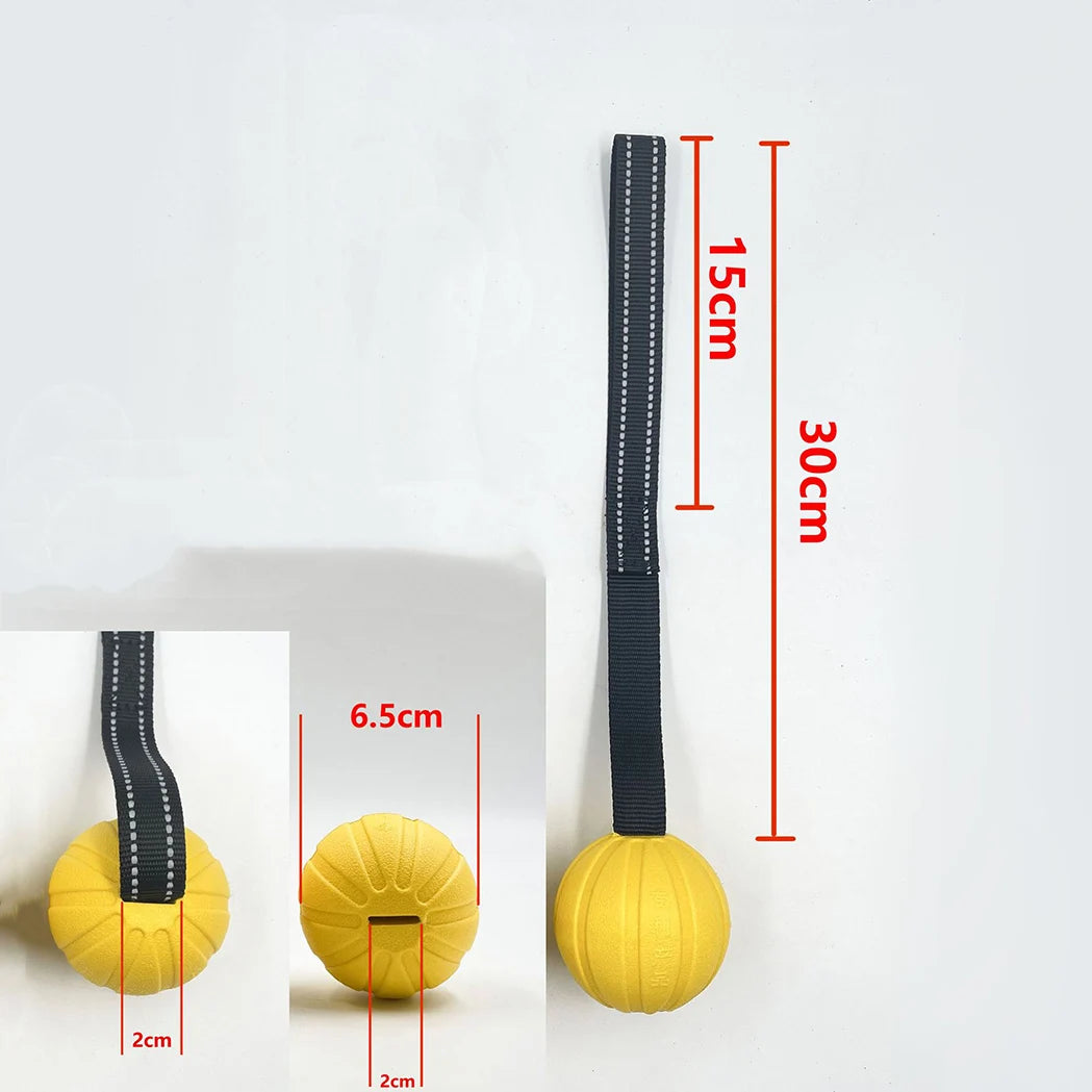 Hundespielzeugbälle auf Seil: Langlebiger, schwimmender Ball für Kauer aller Größen - Animalivo