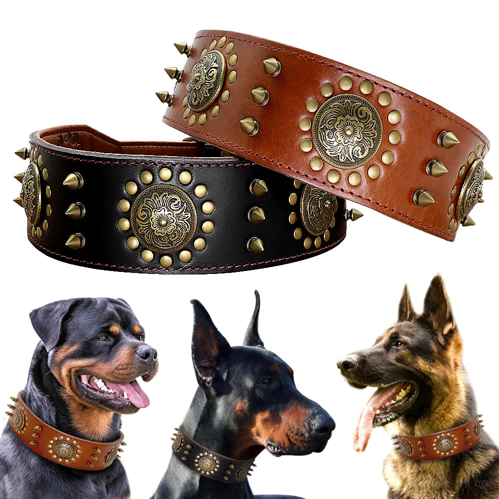 Großes Braunes Leder-Hundehalsband mit Spikes & Nieten - Animalivo
