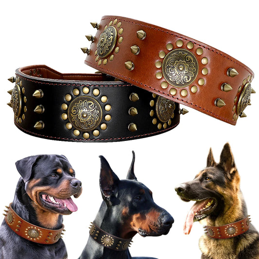 Großes Braunes Leder-Hundehalsband mit Spikes & Nieten - Animalivo