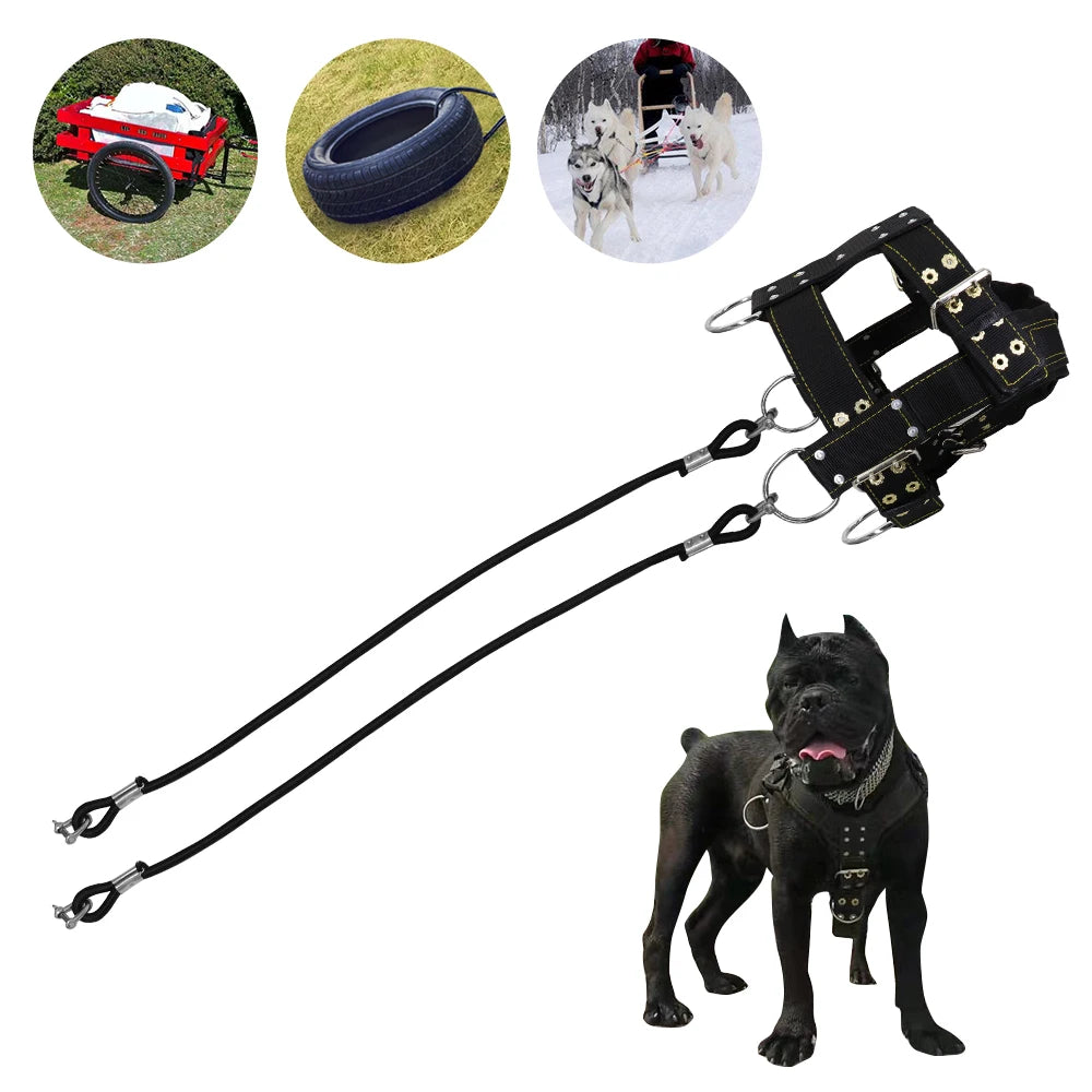 Hundegewicht Zuggeschirr Starkes Nylon Haustier Hundetraining Geschirr Produkte Große Hunde für Deutscher Schäferhund Big Dog Agility Produkt - Animalivo