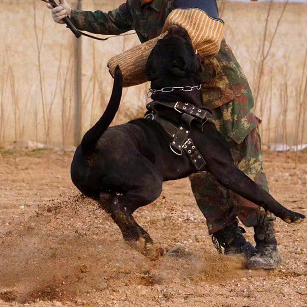 Hundegewicht Zuggeschirr Starkes Nylon Haustier Hundetraining Geschirr Produkte Große Hunde für Deutscher Schäferhund Big Dog Agility Produkt - Animalivo