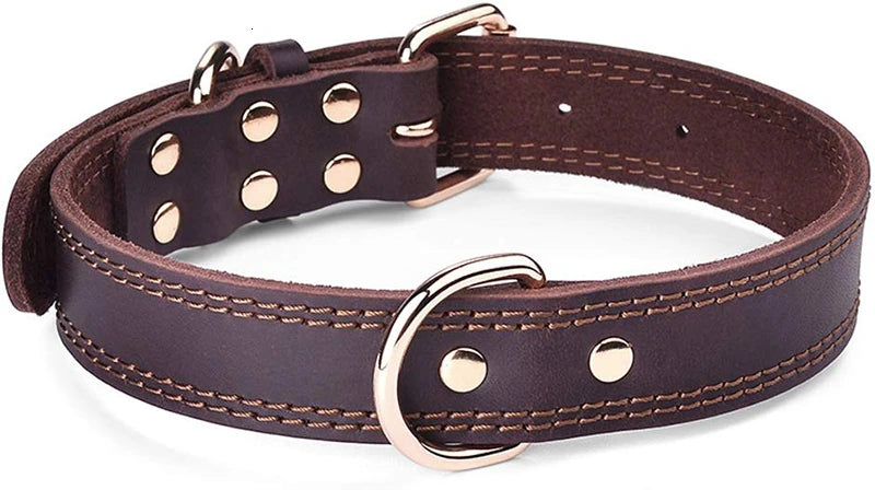 Luxus-Hundehalsband: Echtes Leder, robust & rostfrei mit doppeltem D-Ring für große Hunde - Animalivo