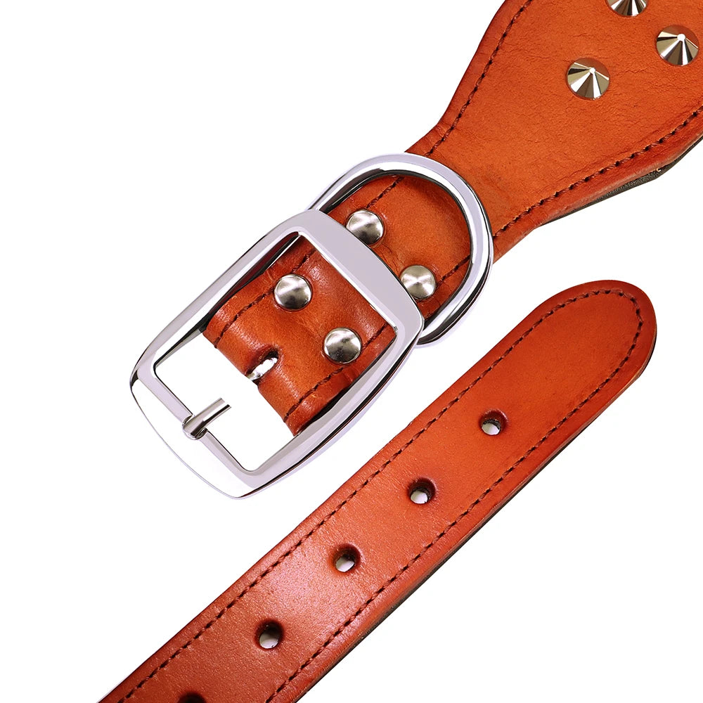Echtes Leder Hundehalsband (Verstellbar) – Langlebig, für Mittelgroße & Große Hunde - Animalivo