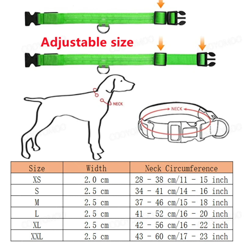 LED Hunde-Halsband: USB-aufladbar, 3 Modi & Abnehmbar zur Verlustprävention - Animalivo