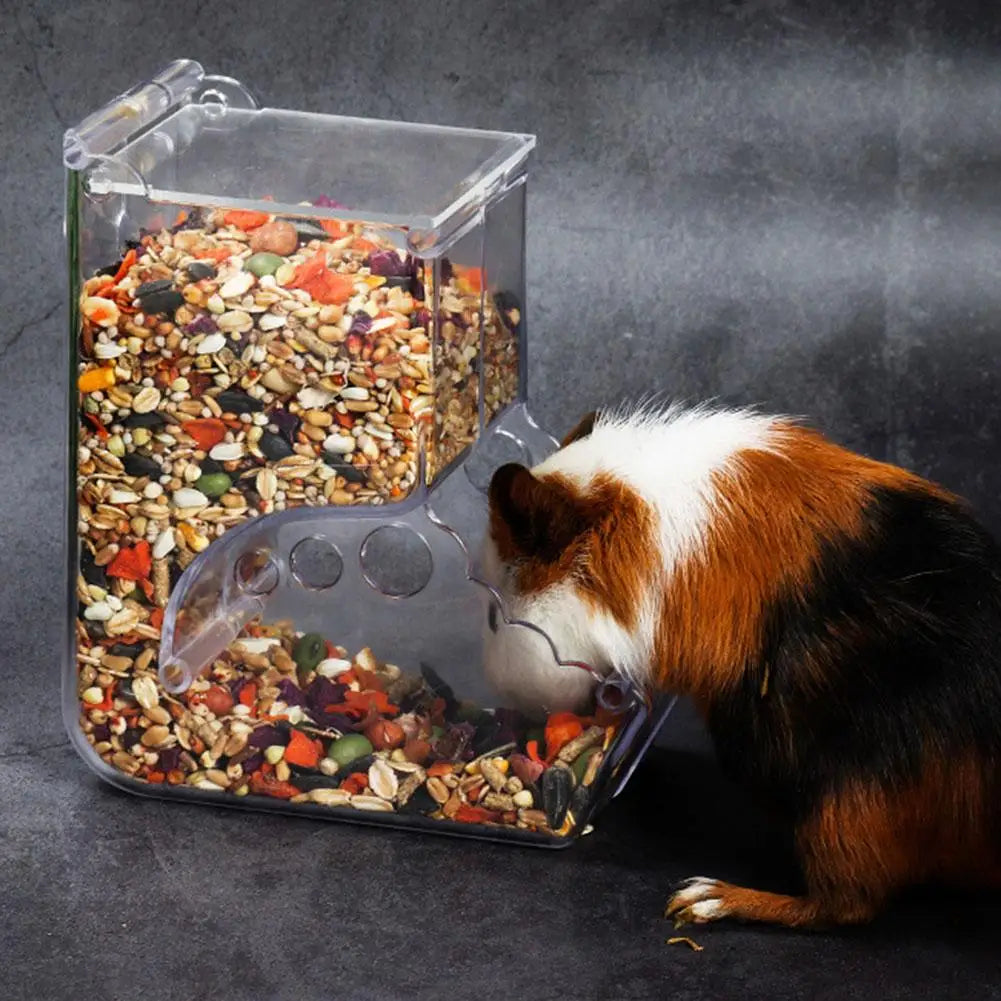 Automatischer Futterspender  für Hamster & Kaninchen - Animalivo