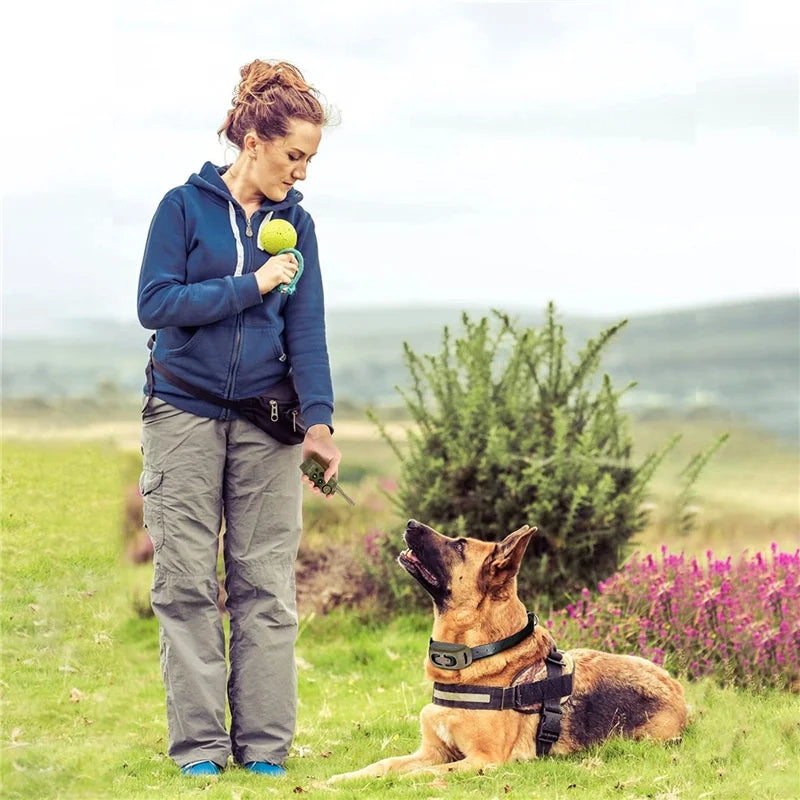 Trainingshalsband für Hunde, Fernbedienung, wasserdicht, wiederaufladbar, für Haustiere, Bellenstopper, Abwehrsteuerung für Hunde, Trainingshalsband - Animalivo