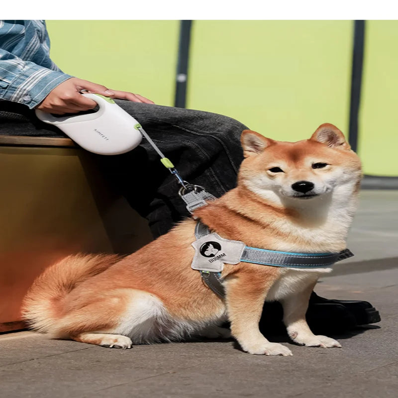 5m Ausziehbare Hundeleine – Reflektierend & Sicher - Animalivo