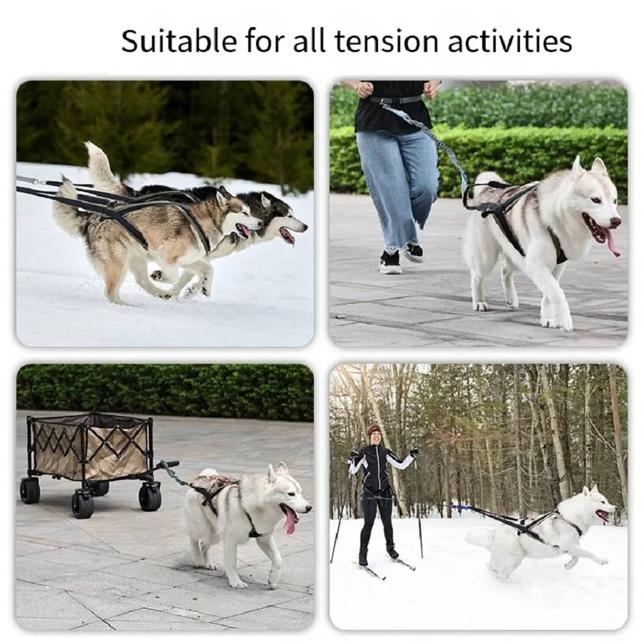Schlitten-Hundegeschirr, Outdoor-Hundeleine für große und mittelgroße Hunde - Animalivo