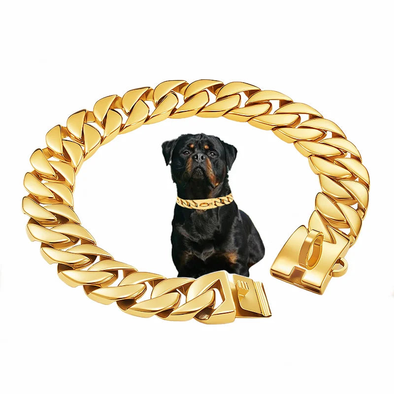 Goldfarbenes Edelstahl-Hundehalsband (32mm) – Für Labrador, Rottweiler & American Bully - Animalivo