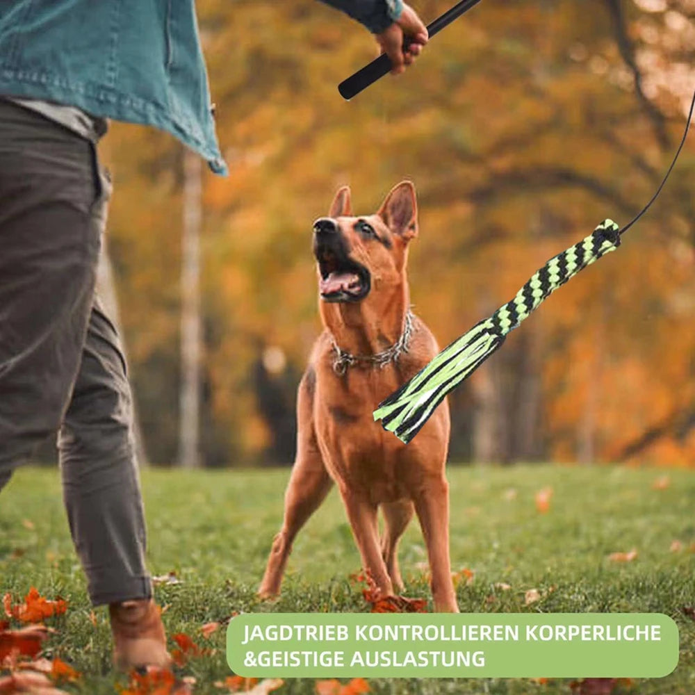 Hunde zähne Schleifen Spielzeug Biss beständig langlebig mit Plüsch Nachfüllung Hundes pielzeug einziehbare Stange Hund Kau spielzeug interaktive Haustier Spielzeug - Animalivo