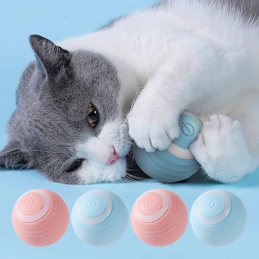 Automatischer Rollender Ball für Katzen