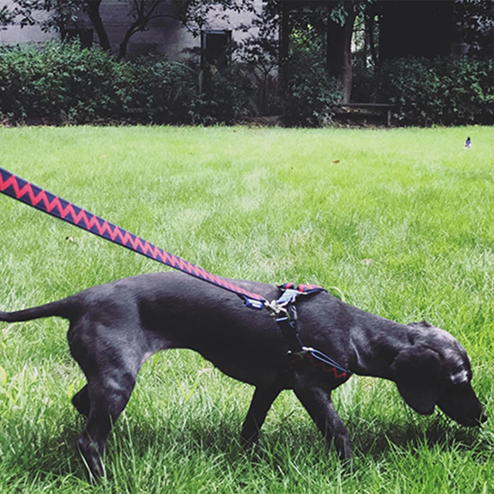 Hundegeschirr ohne Ziehen (No-Pull) mit Leine-Set – Reflektierend & Gepolstert - Animalivo