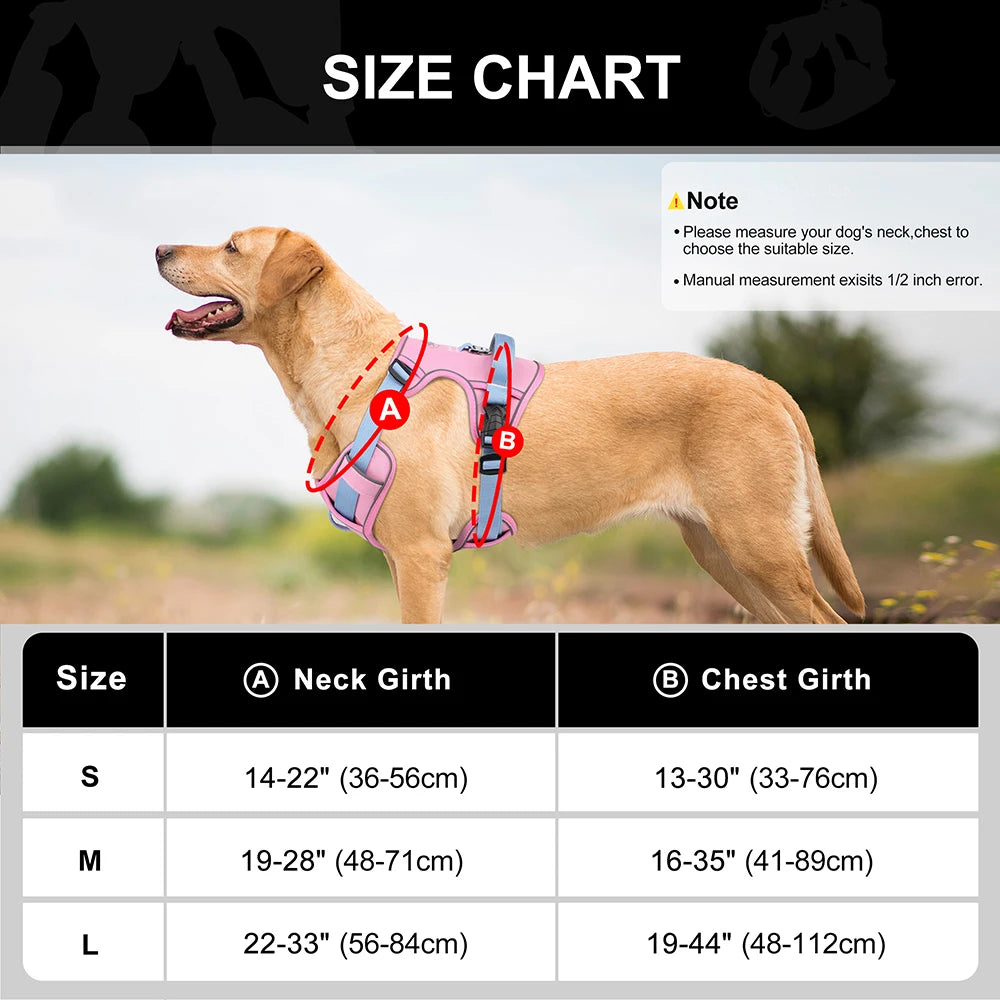 Atmungsaktives Mesh-Hundegeschirr (Reflektierend & Verstellbar) - Animalivo