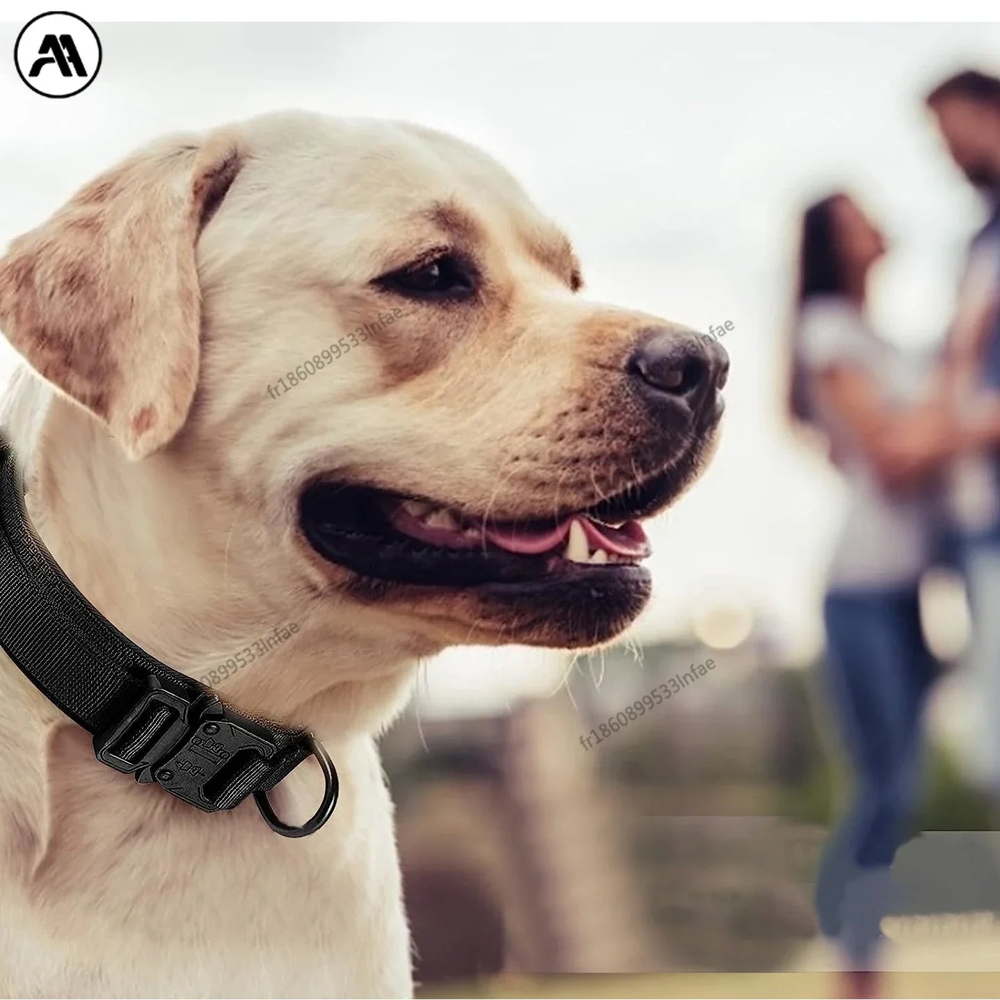 Taktisches Hundehalsband: Verstellbares Militärtraining-Halsband mit Steuergriff - Animalivo