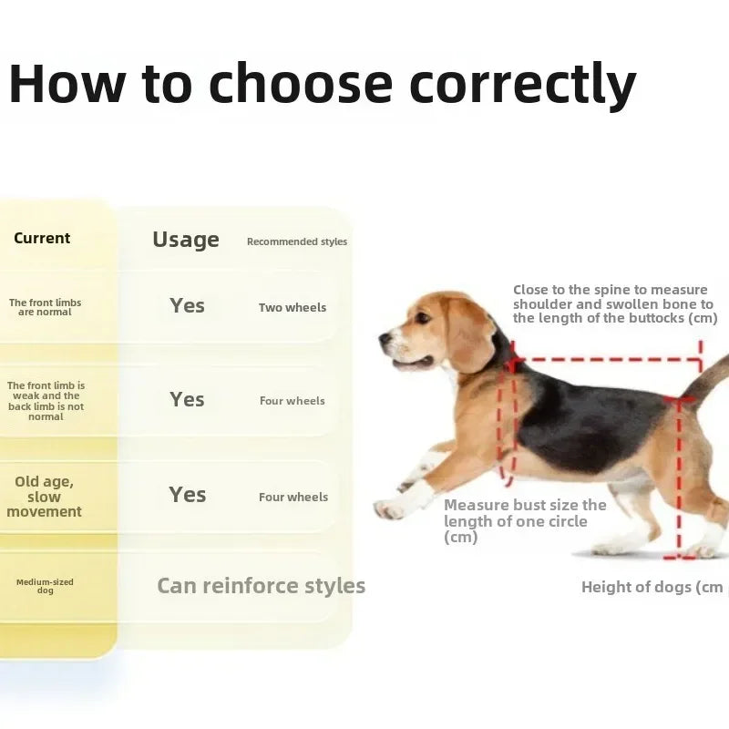 Verstellbarer Hinterbein-Rollstuhl für Hunde & Katzen mit Hüftunterstützung