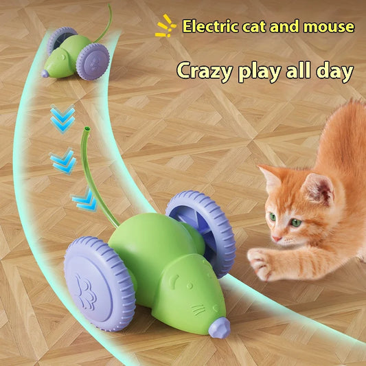 Elektrisches Mausauto – Interaktives Katzenspielzeug
