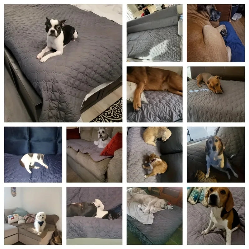 Wendbare Hundedecke: Doppelseitiger, wasserdichter Schutz für Sofa und Möbel - Animalivo