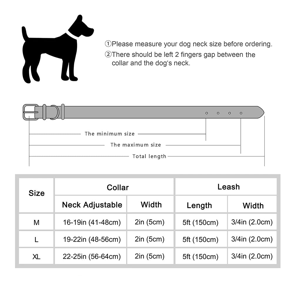 Breites Leder-Hundehalsband & Leine-Set (Gepolstert & Genietet) - Animalivo