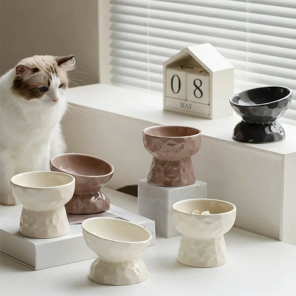 Erhöhter Keramik-Napf für Katzen & Welpen (Geneigt) - Animalivo