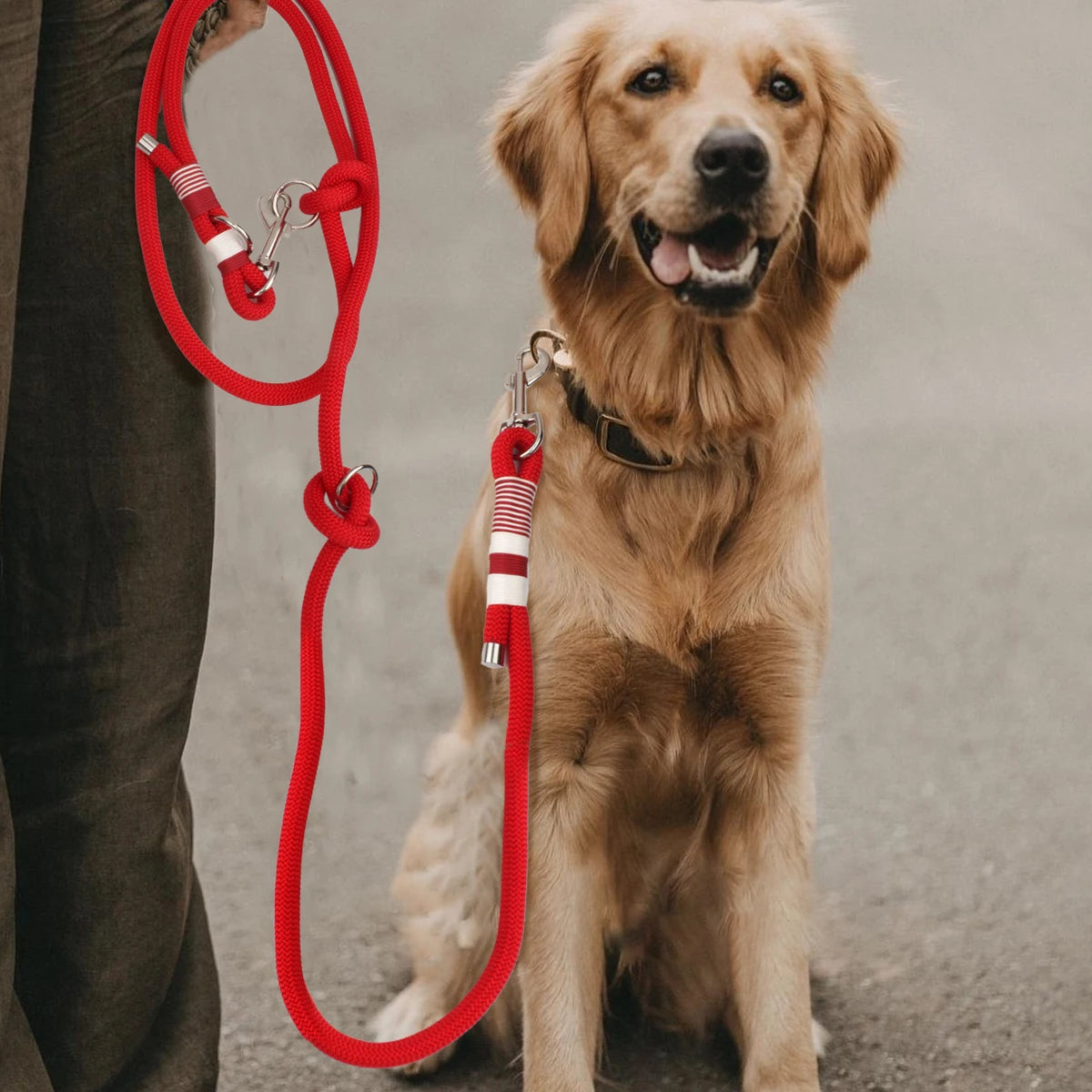 Doppelte Schnallen, geflochtene Leinen für Hunde, einfarbig, multifunktionale handgewebte Leine, Spazierengehen im Freien mit mittleren und großen Hunden - Animalivo