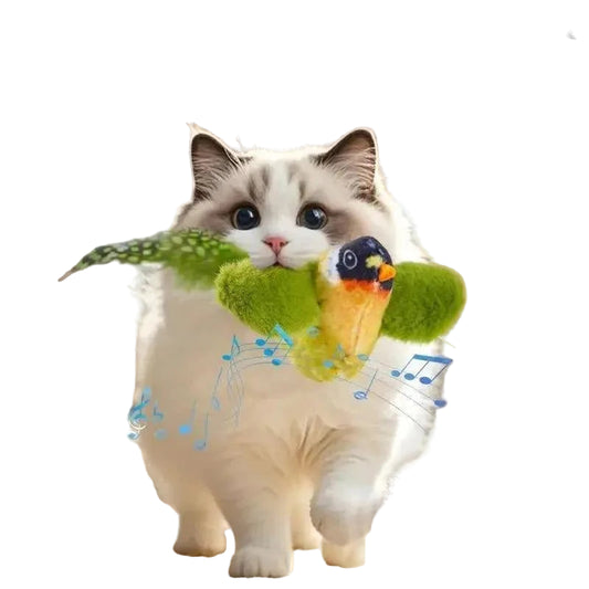 Interaktives Vogel-Spielzeug für Katzen - Animalivo