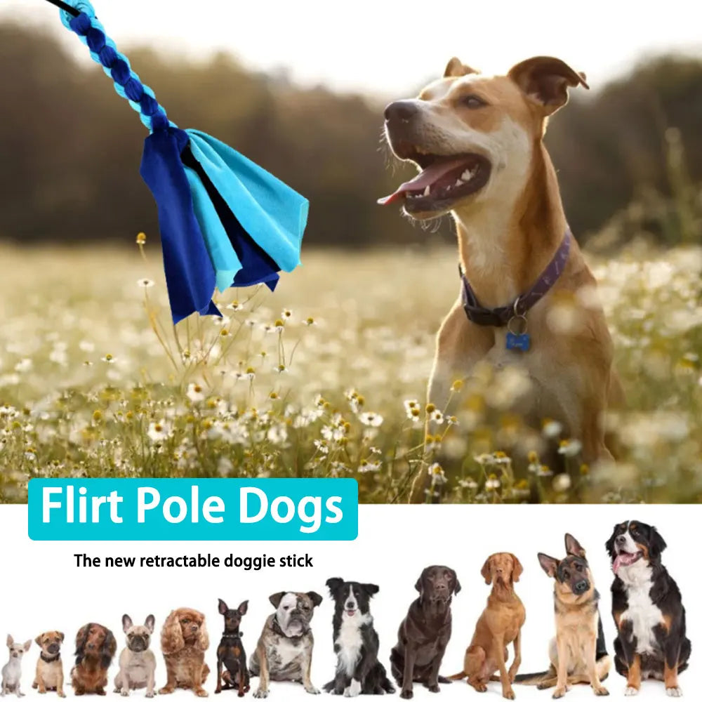 Hunde Flirt Locken Pole Stick Spielzeug Haustier Interaktive Jagen Schwanz Teaser Zauberstab Training Kauen Seil Katze Haustier - Animalivo