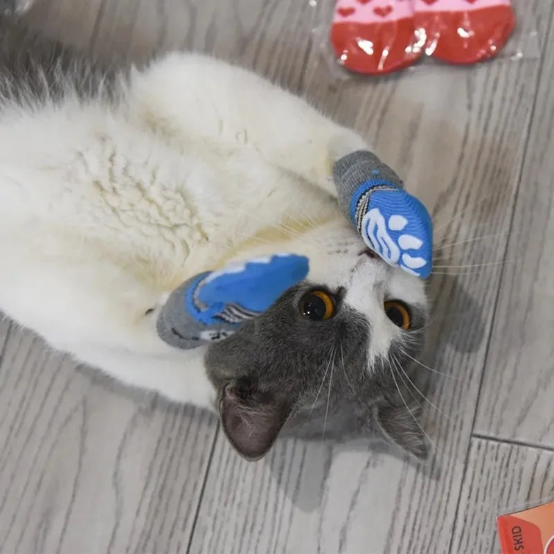 4er Set Warme Hunde- & Katzensocken  – Tiger-Design - Animalivo