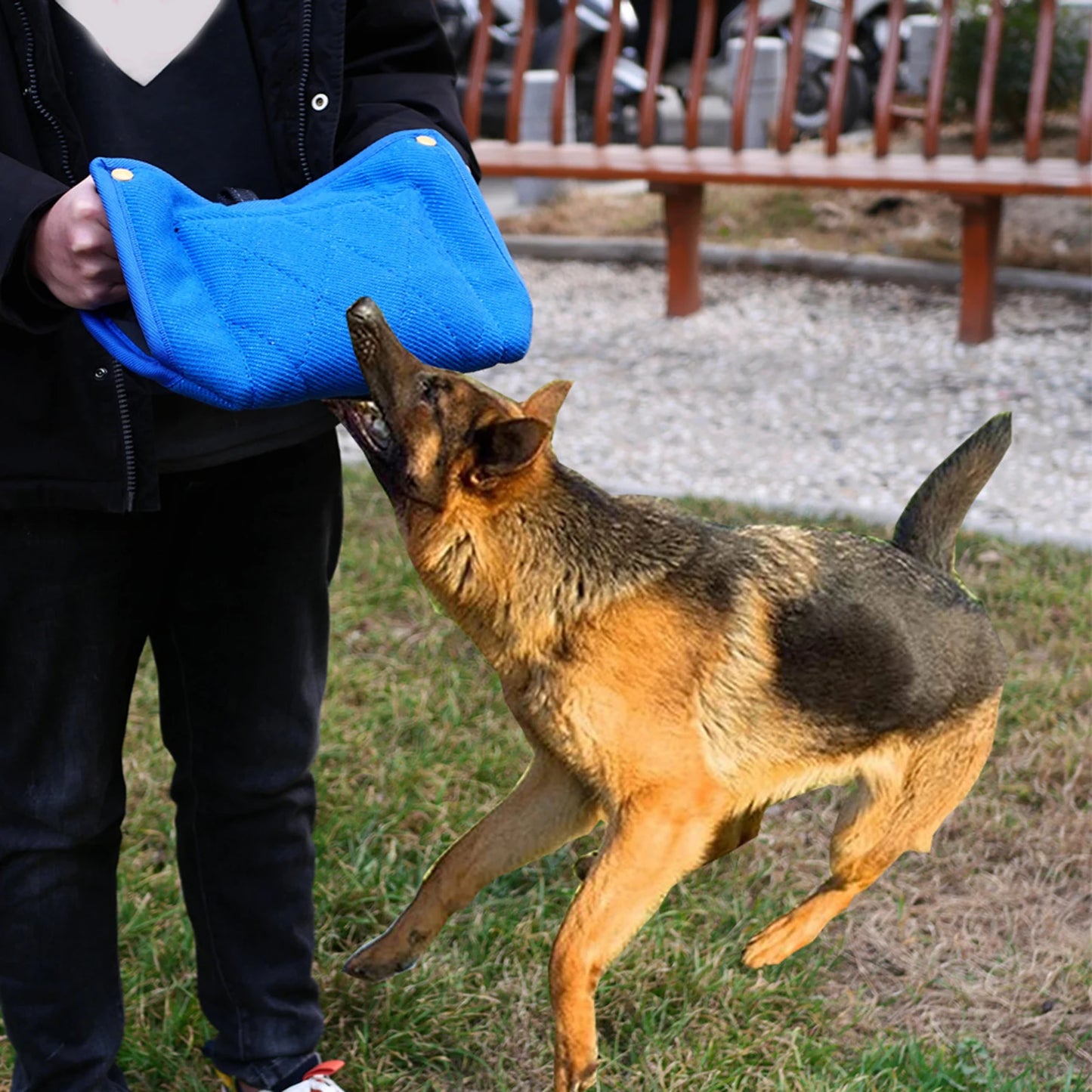Langlebiges Hundebisskissen, Welpentrainer, Beißpad, mittelgroße Hunde, Haustierschutz, Trainingsgeräte für Hundetrainingszubehör - Animalivo