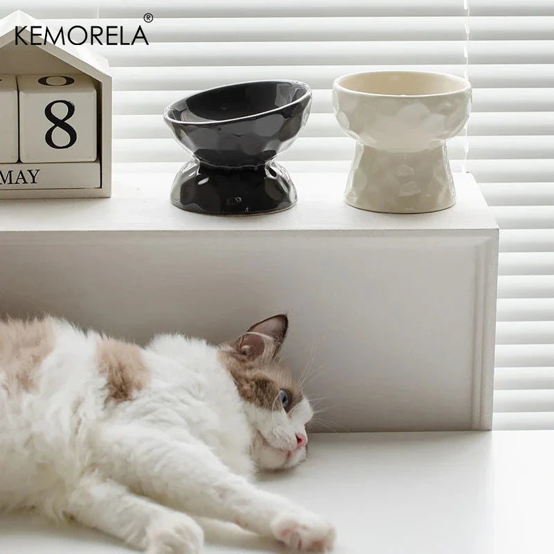 Erhöhter Keramik-Napf für Katzen & Welpen (Geneigt) - Animalivo