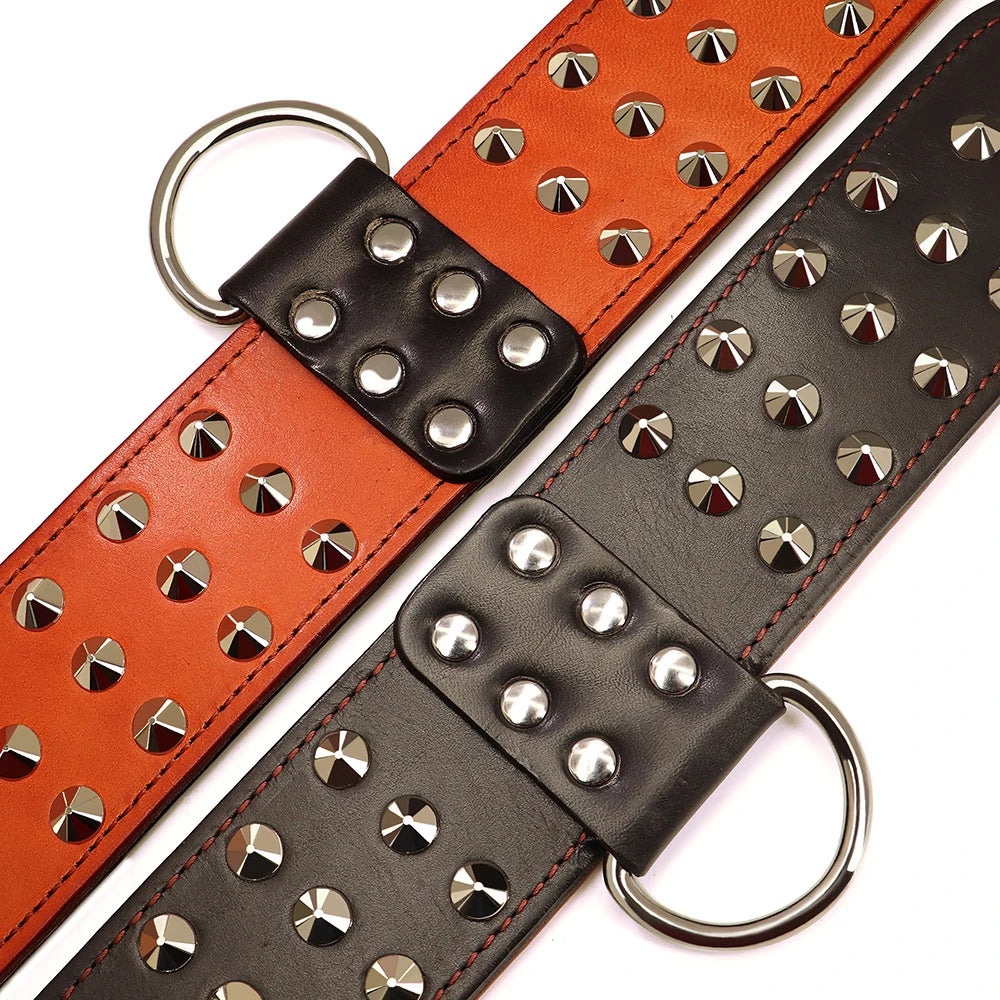 Echtes Leder Hundehalsband (Verstellbar) – Langlebig, für Mittelgroße & Große Hunde - Animalivo