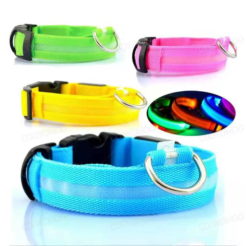 LED Hunde-Halsband: USB-aufladbar, 3 Modi & Abnehmbar zur Verlustprävention - Animalivo