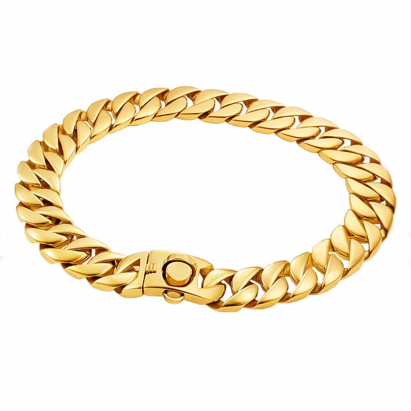 Goldfarbenes Edelstahl-Hundehalsband (32mm) – Für Labrador, Rottweiler & American Bully - Animalivo
