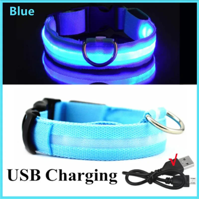 LED Hunde-Halsband: USB-aufladbar, 3 Modi & Abnehmbar zur Verlustprävention - Animalivo
