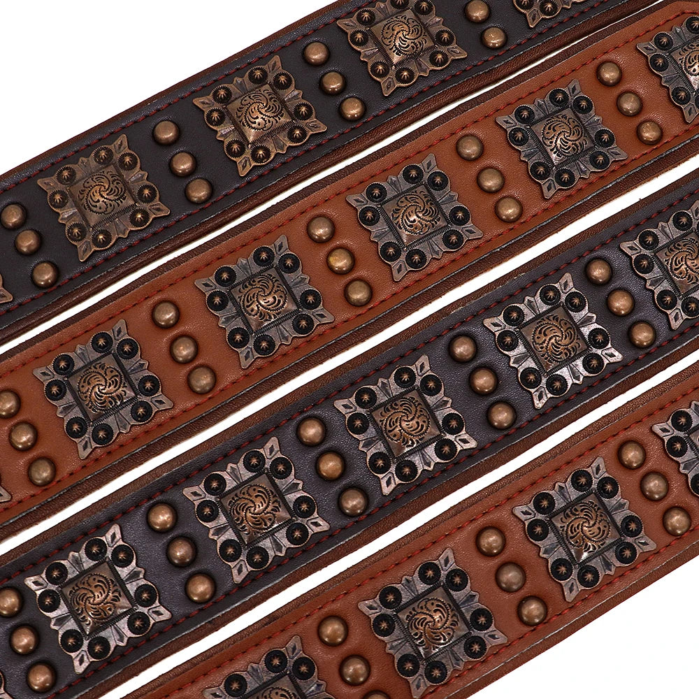 Cooles Hundehalsband aus Echtem Leder mit Spikes (Verstellbar) - Animalivo