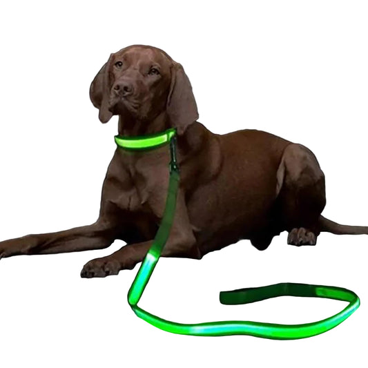 LED Hunde-Leuchtleine – Sicherheit für Nachtspaziergänge - Animalivo