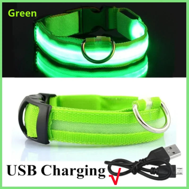 LED Hunde-Halsband: USB-aufladbar, 3 Modi & Abnehmbar zur Verlustprävention - Animalivo
