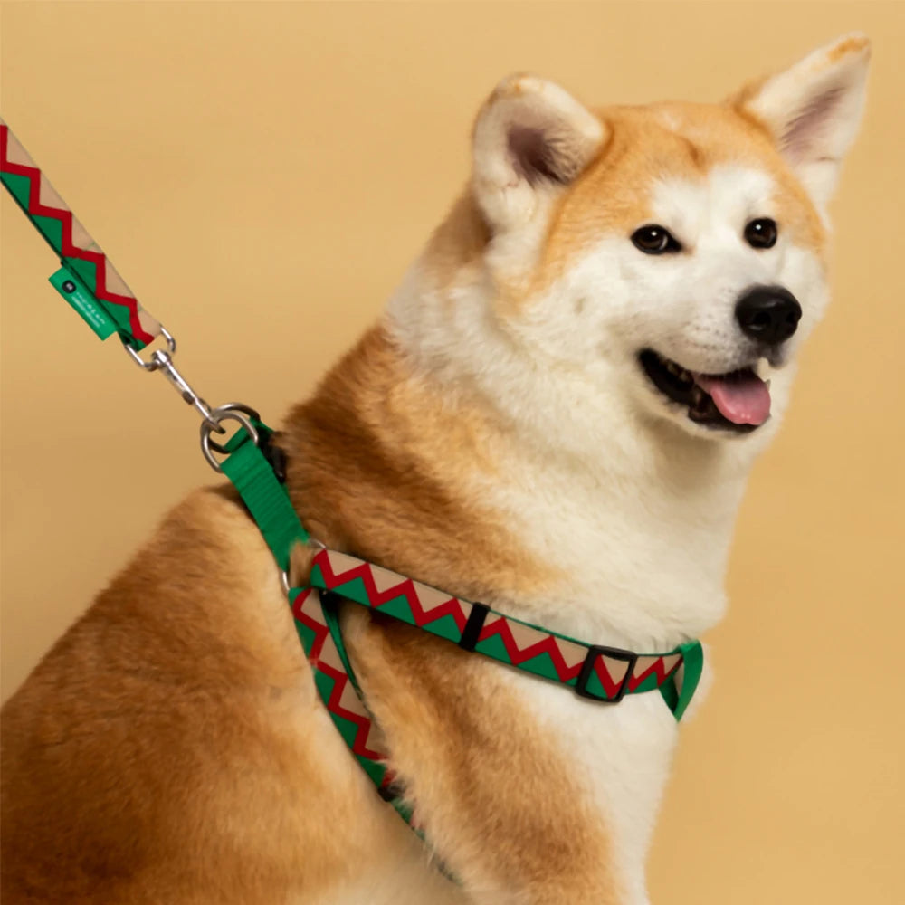 Hundegeschirr ohne Ziehen (No-Pull) mit Leine-Set – Reflektierend & Gepolstert - Animalivo