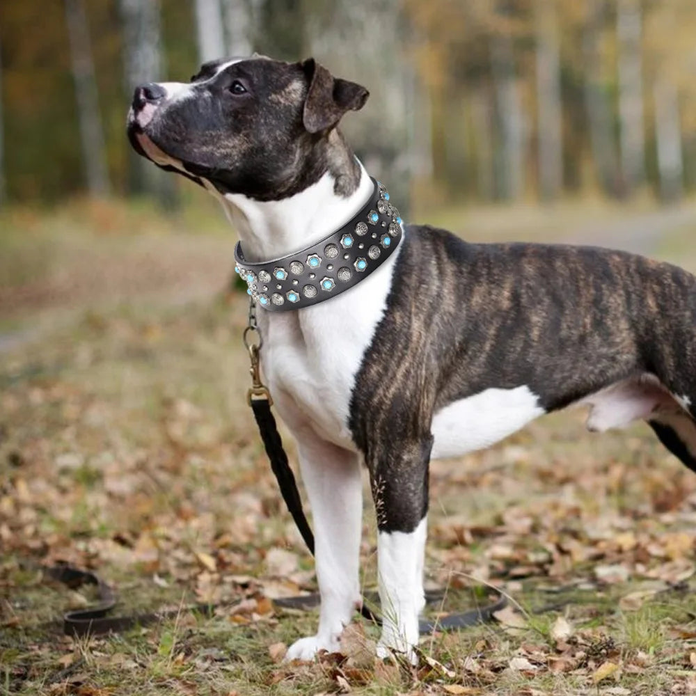 Luxuriöses Leder-Hundehalsband mit Juwelen, Spikes & Nieten - Animalivo