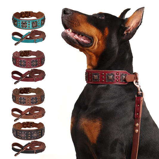 Breites Leder-Hundehalsband & Leine-Set (Gepolstert & Genietet) - Animalivo
