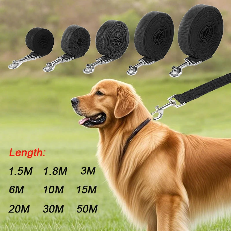 Lange Nylon Trainingsleine (10-20m) für Hunde - Animalivo