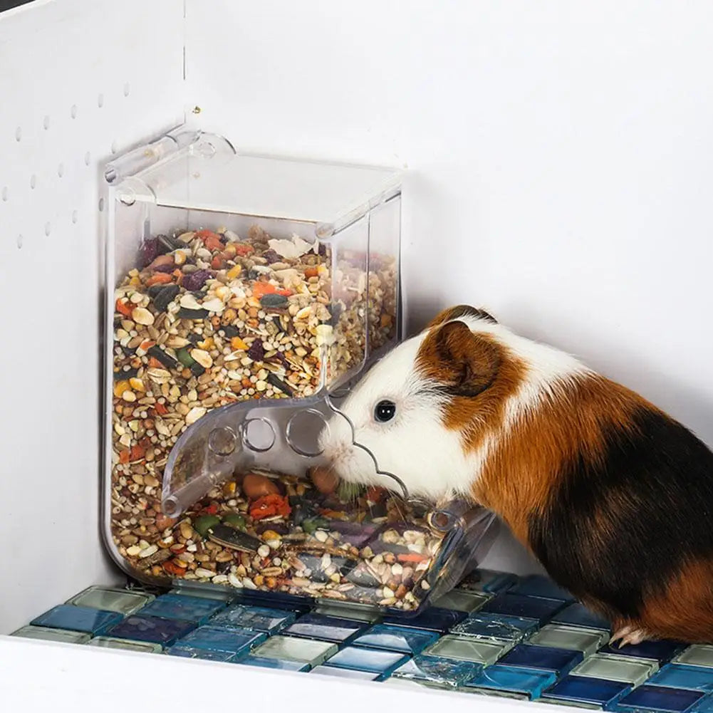 Automatischer Futterspender  für Hamster & Kaninchen - Animalivo