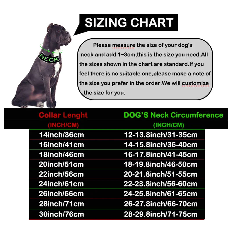 Goldfarbenes Edelstahl-Hundehalsband (32mm) – Für Labrador, Rottweiler & American Bully - Animalivo